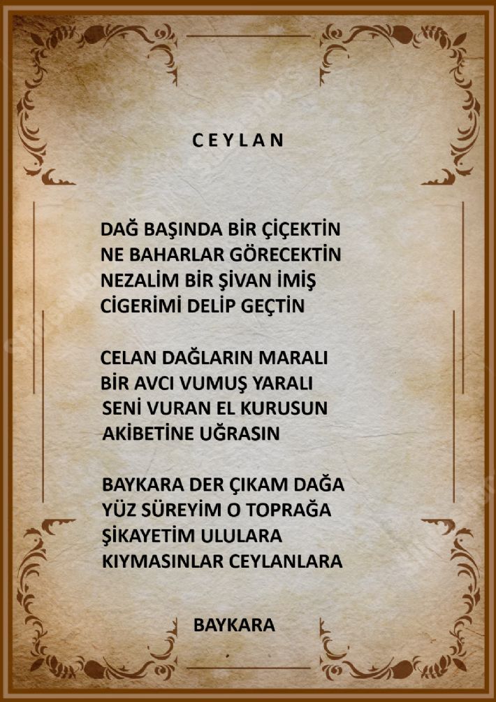 baykara